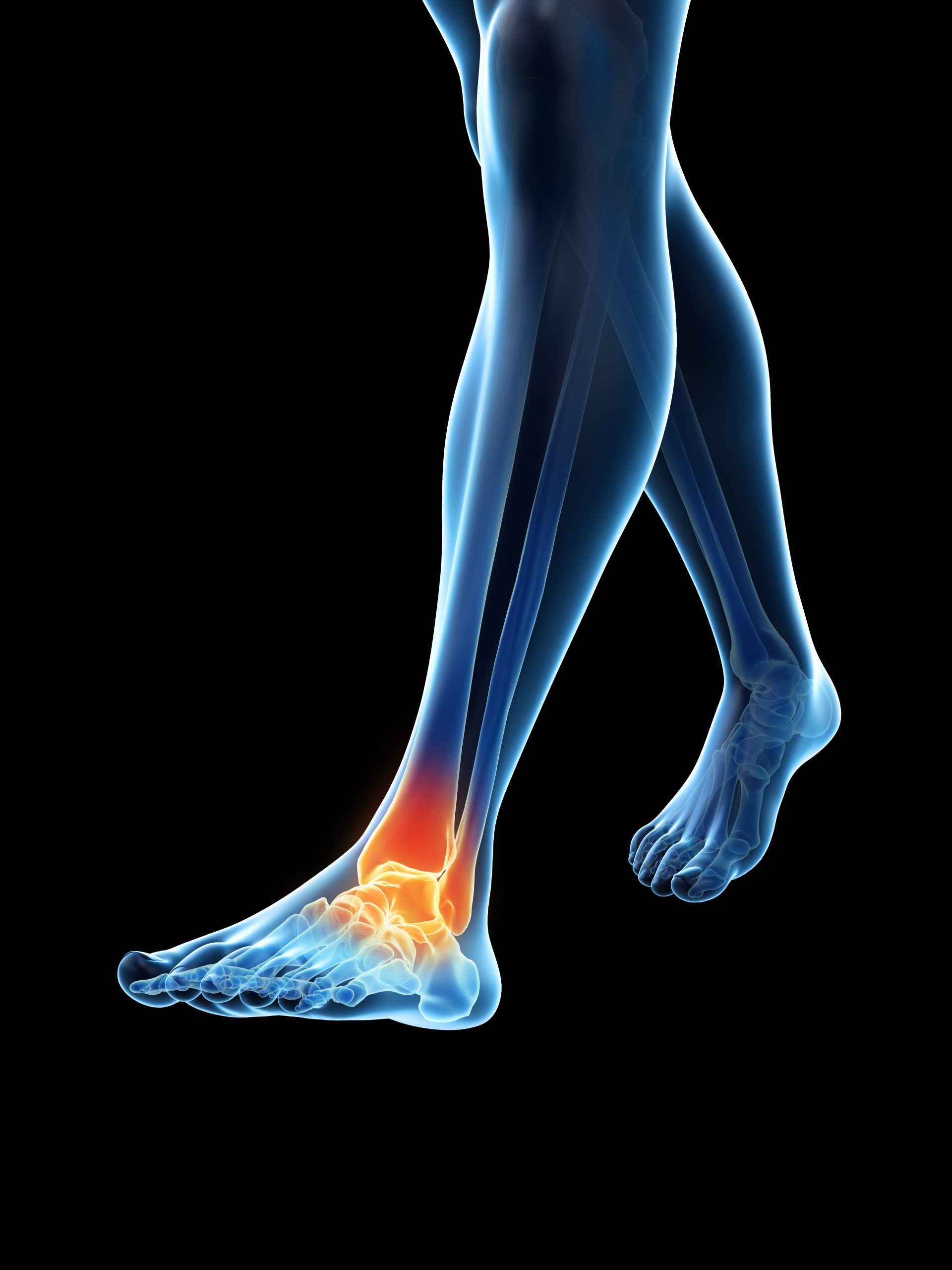 shutterstock_1396376579